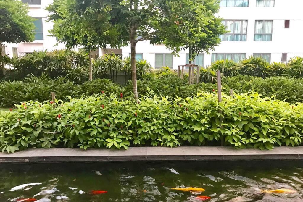 Condo In Imago Mall 亚庇最大商场imago楼里公寓 코타키나발루에서가장큰쇼핑센터아파트 Luaran gambar